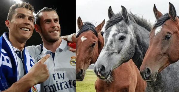 A glory of Real Madrid who shone at Real Madrid today he is unemployed and is dedicated to his other great passion