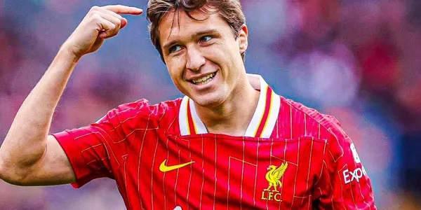 Arrived as a star signing and has so far turned out to be a failure due to his physical problems