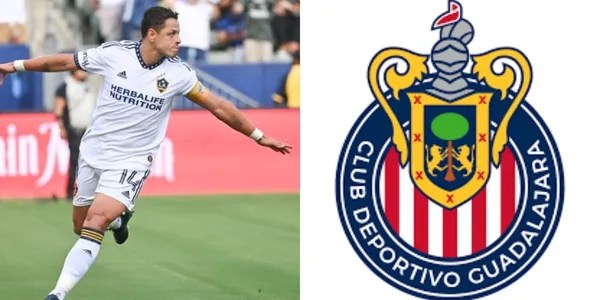 Chivas already have a reinforcement for next season
