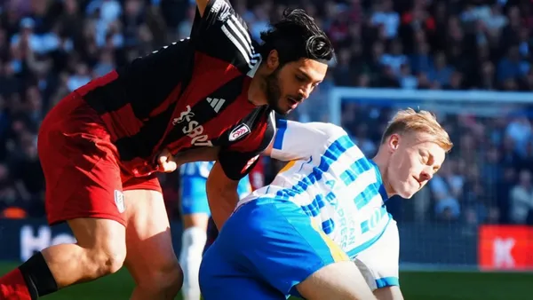 Fulham match | Photo: @FulhamFC