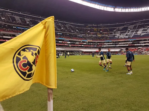 He currently owns Ligue 1 side Stade Rennais.