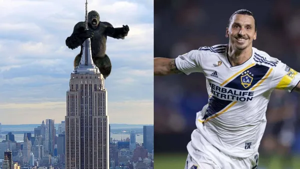 Kink Kong, the most famous gorilla on television and in Hollywood was challenged by Zlatan Ibrahimovic but the Swede knows who would win