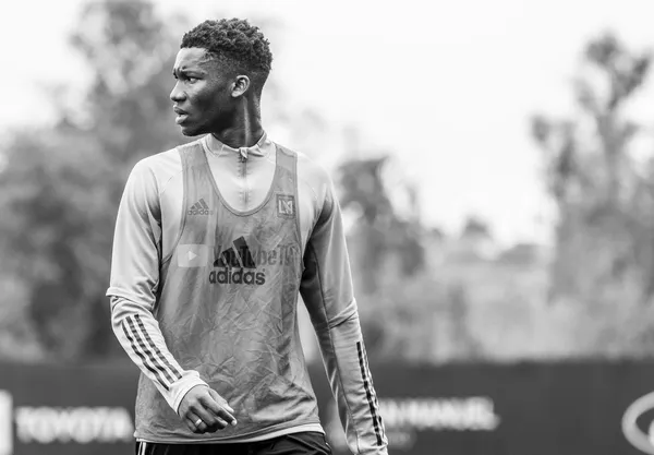 Several MLS teams take advantage of the transfer market to hire promising youngsters around the world.