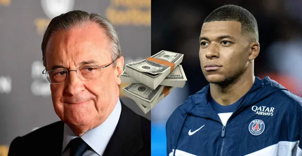 The arrival of a new elite reinforcement for the next season