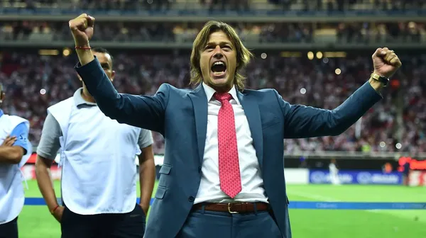 The Ecuador Soccer Team is still in negotiations with Matías Almeyda, and here we reveal the details of the salary that the coach would earn.