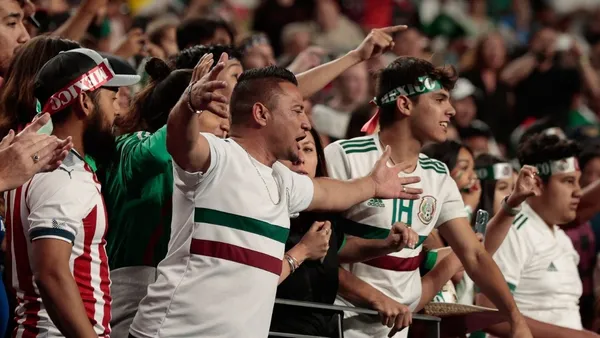 The FMF will run tests in order to have the system fully operational for next March's match against the United States.