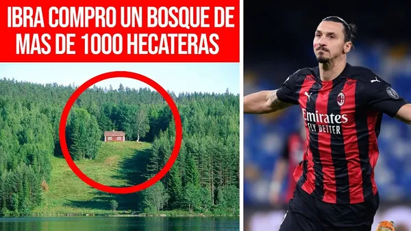 The Swedish striker acquired a forest on the Swedish border with Norway to be able to fish