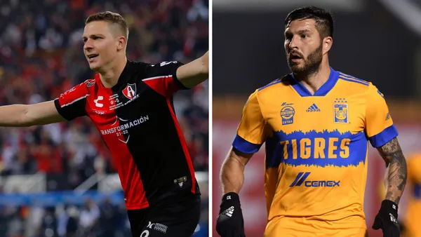 The Zorros are close to repeating the championship, but they will come up against another title candidate: the Felinos.