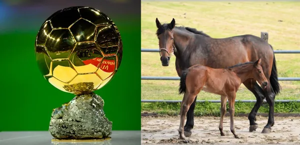 This retired player now plays in a field that has nothing to do with soccer.