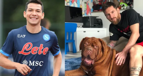 World Dog Day is celebrated. Social networks are flooded with photographs of pets. This is the price difference between the mascots of the two players.