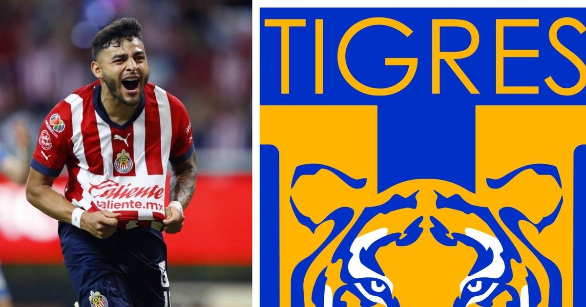 They revealed the reason why Alexis Vega did not perform in the final ...