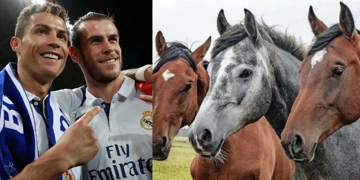 A glory of Real Madrid who shone at Real Madrid today he is unemployed and is dedicated to his other great passion