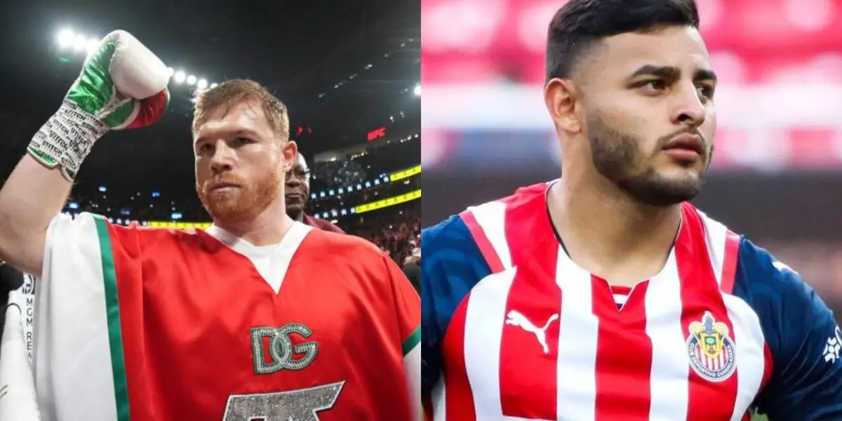 Alexis Vega earns millions at Chivas, the amount that Canelo Alvarez would charge for his fight at the Akron