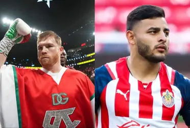 Alexis Vega earns millions at Chivas, the amount that Canelo Alvarez would charge for his fight at the Akron
