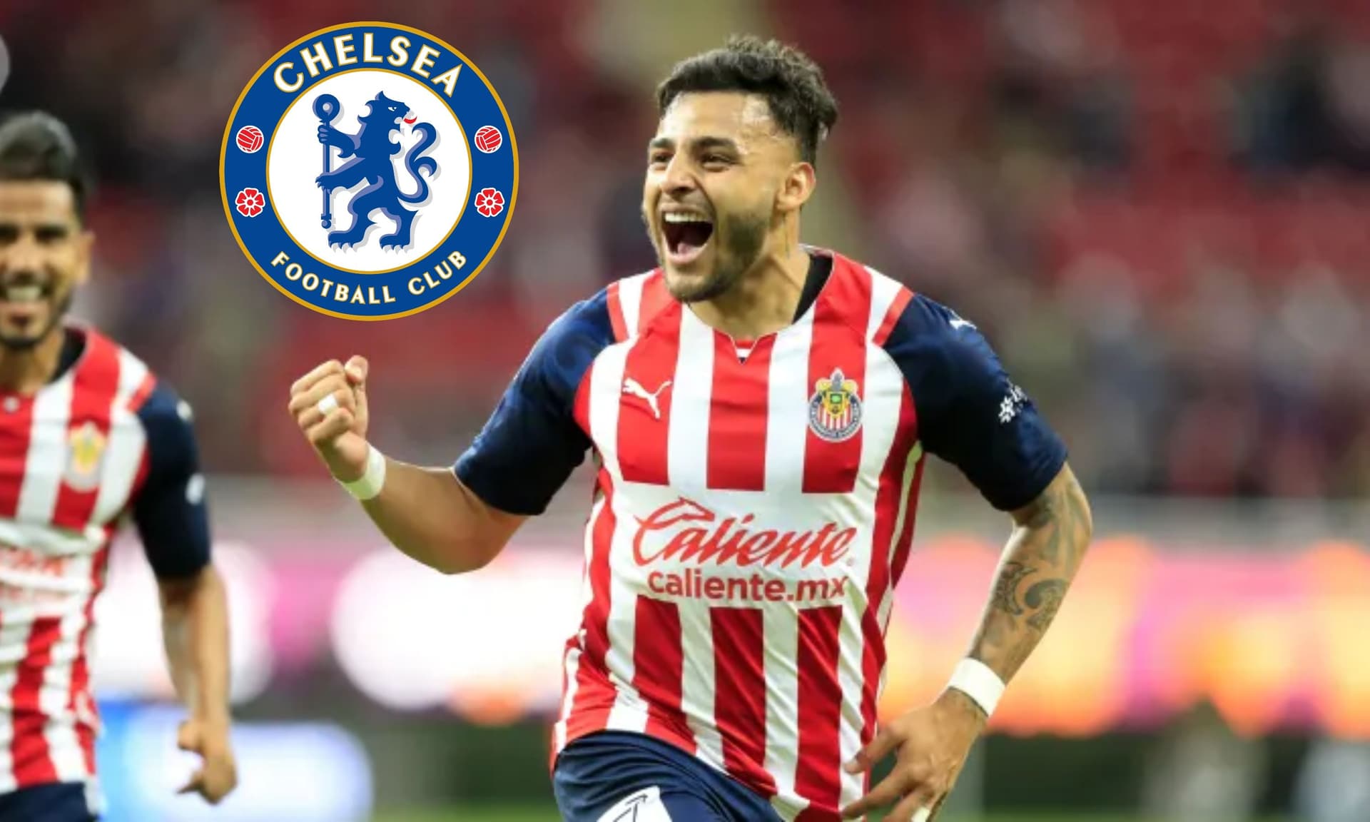 Alexis Vega is one of the most outstanding players in Liga MX and now Chelsea FC gives him great news.