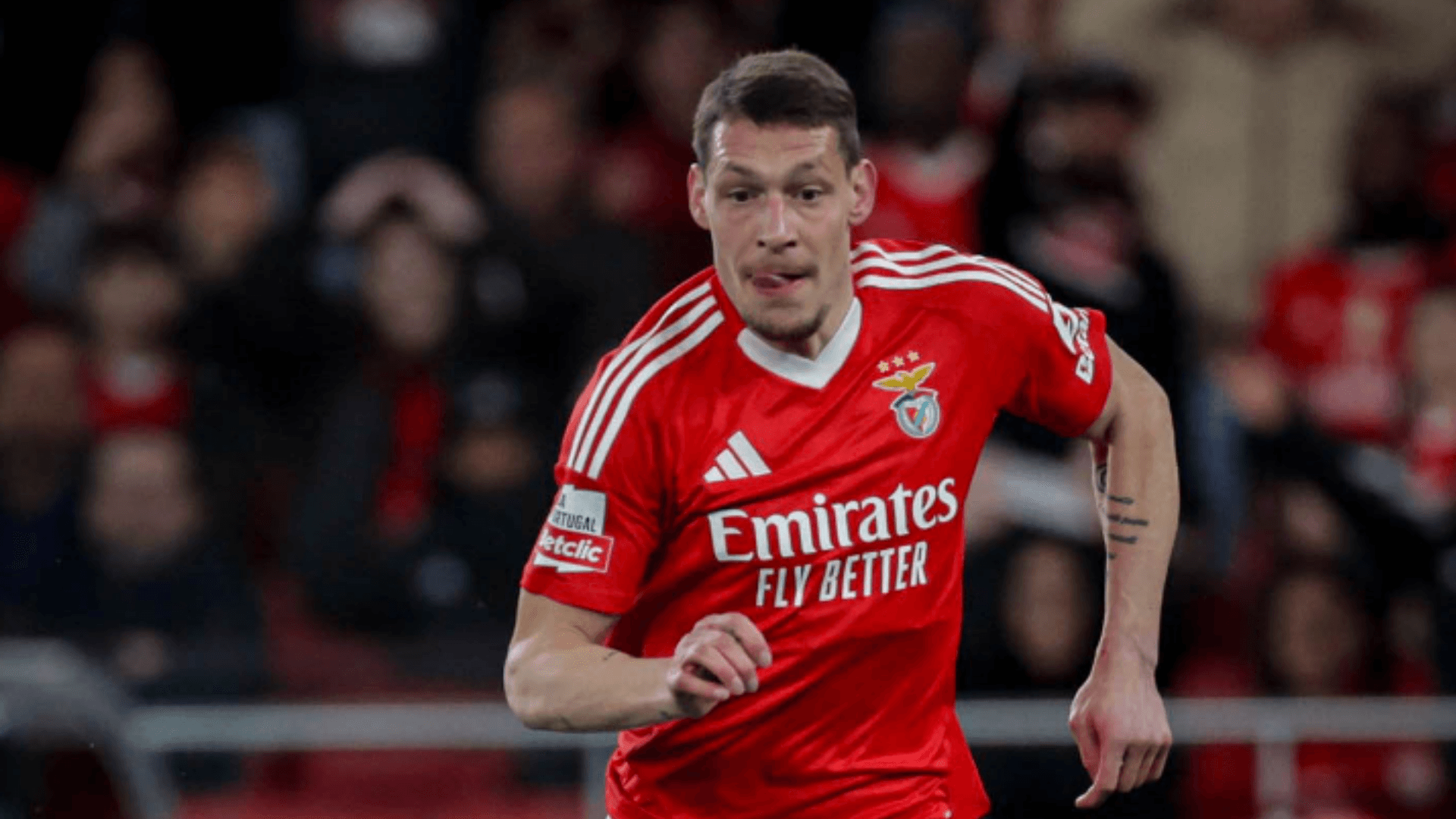Benfica match | Photo: @SLBenfica