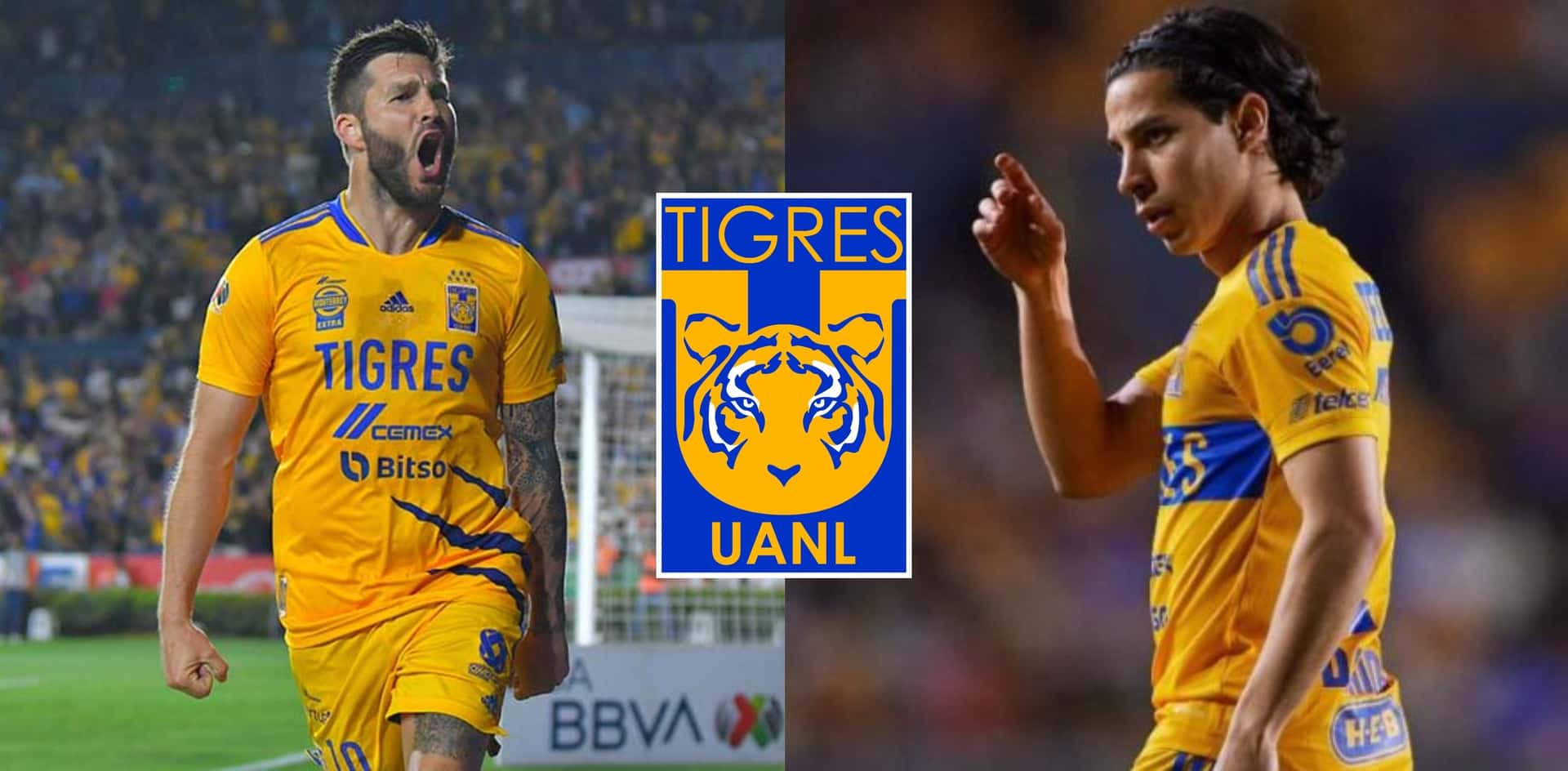 Both players from Tigres have received the worst news in a good part of time
