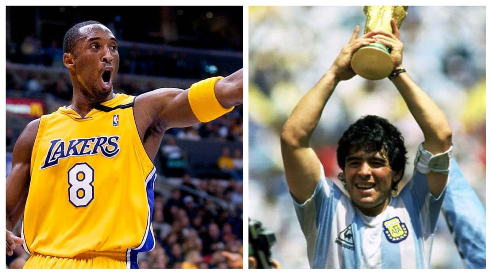 Both were among the greatest in their sports until sadly passed away. During their best years in their careers, they enjoyed a good life.