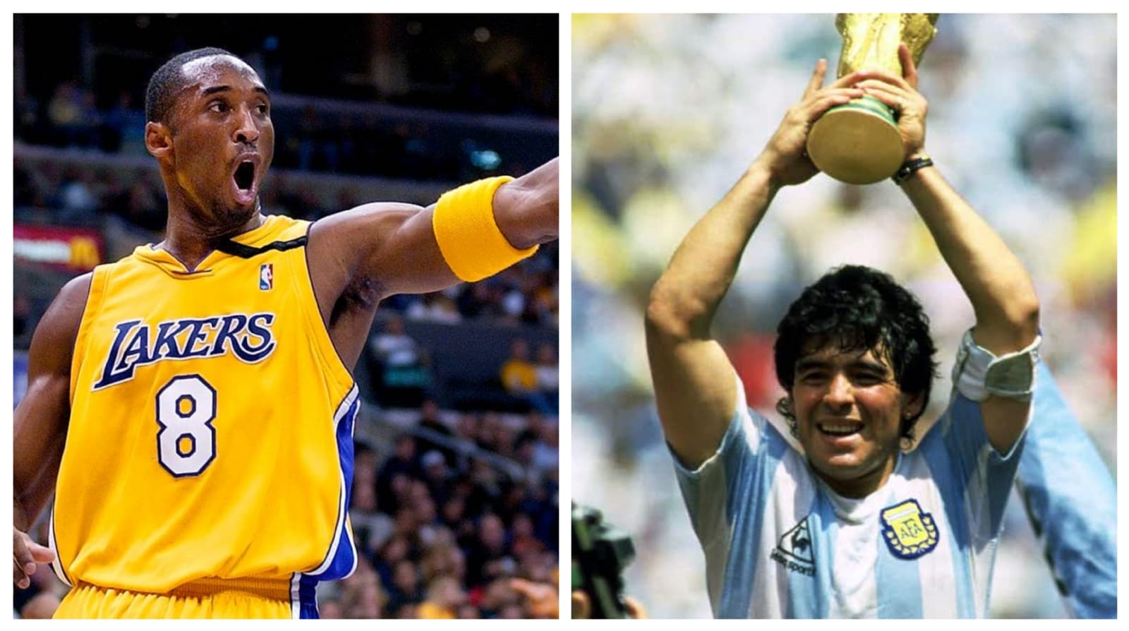 Both were among the greatest in their sports until sadly passed away. During their best years in their careers, they enjoyed a good life.