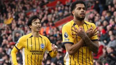 Brighton match | Photo: @OfficialBHAFC