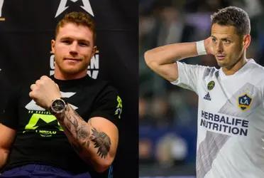 Canelo Alvarez has a historic fight with Callum Smith but one day he took time to attack one of the most famous phrases of Chicharito Hernandez.