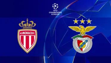 Champions League / Photo: Caliente