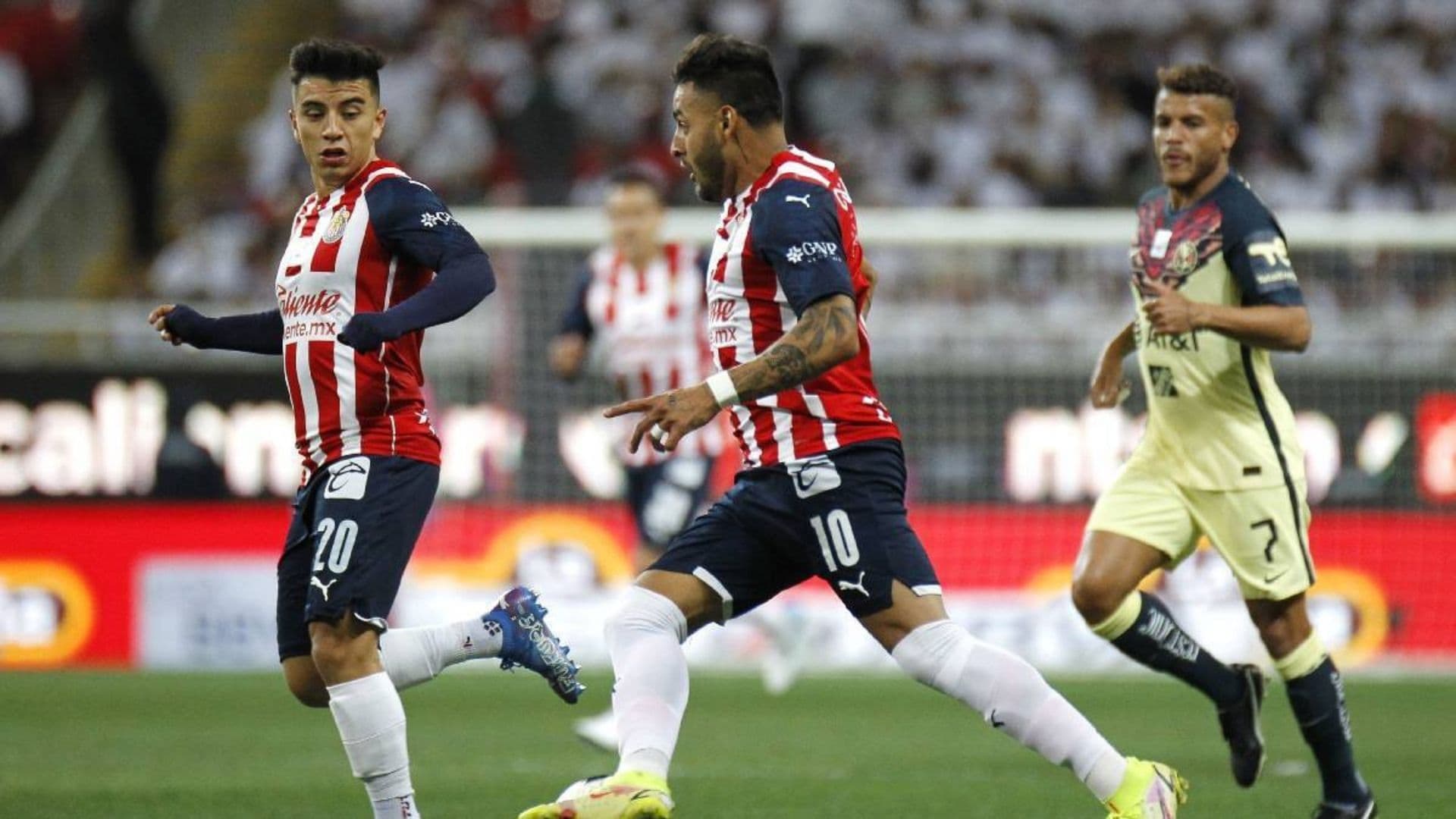 Chivas is looking to strengthen their squad.