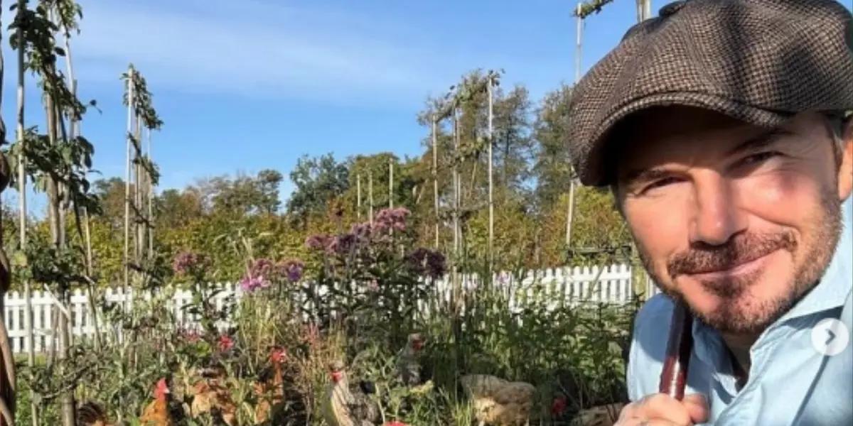 David Beckham. Photo: David Beckham networks.