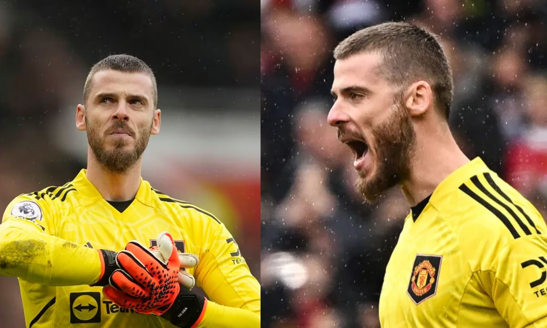 De Gea's decision to sign for Real Betis