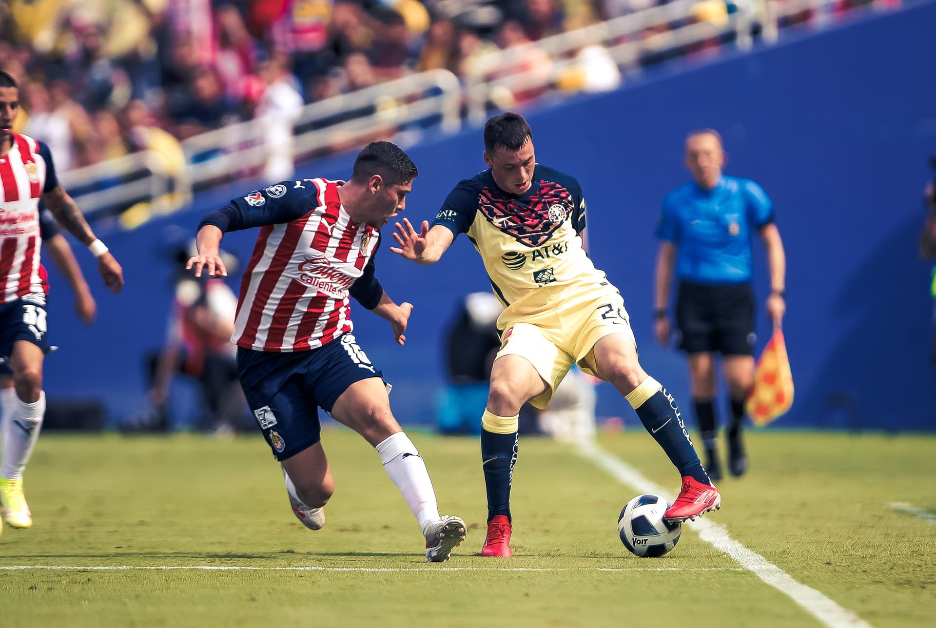 El Rebaño need to strengthen their squad.