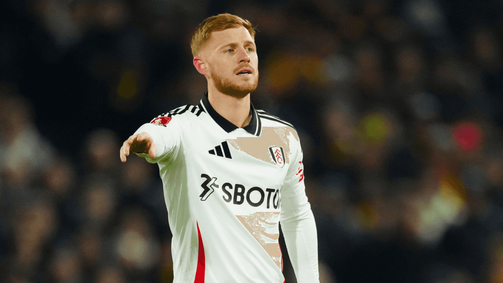 Fulham match | Photo: @FulhamFC