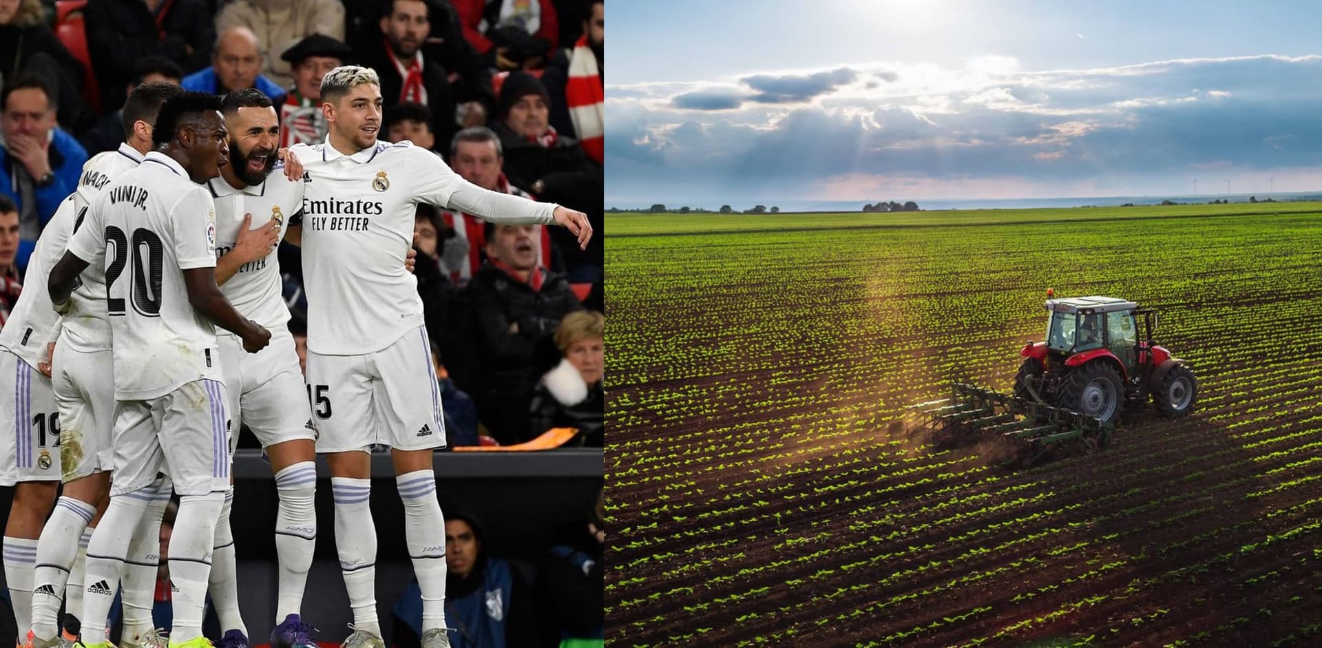 He went from being one of the best to living thanks to the farm.