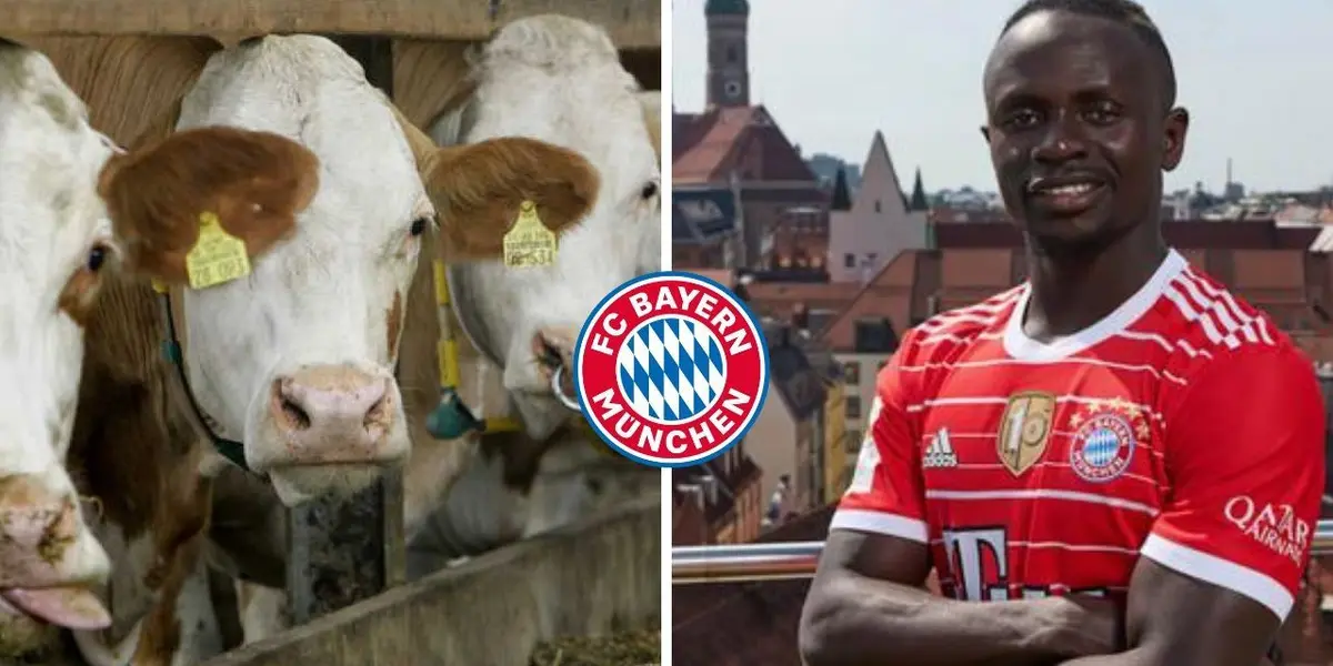 In his early days he worked on a ranch, he knows how hard life is, now he is one signature away from joining Bayern Munich. 