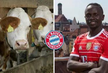 In his early days he worked on a ranch, he knows how hard life is, now he is one signature away from joining Bayern Munich.