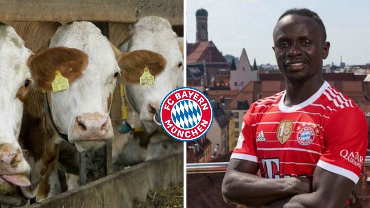 In his early days he worked on a ranch, he knows how hard life is, now he is one signature away from joining Bayern Munich.