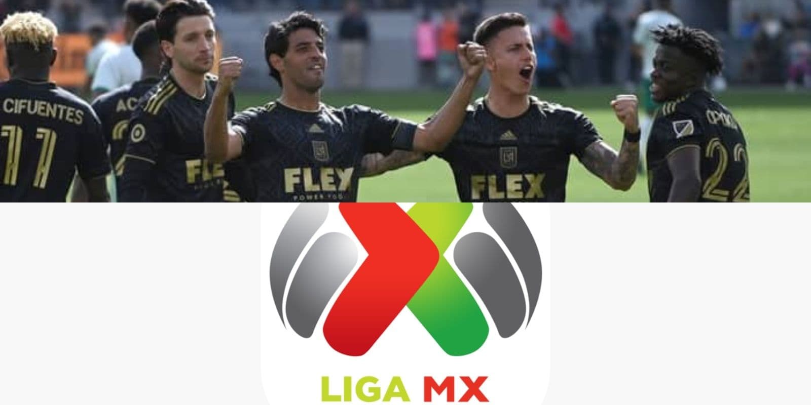 In this he sees the MLS better than the MX League