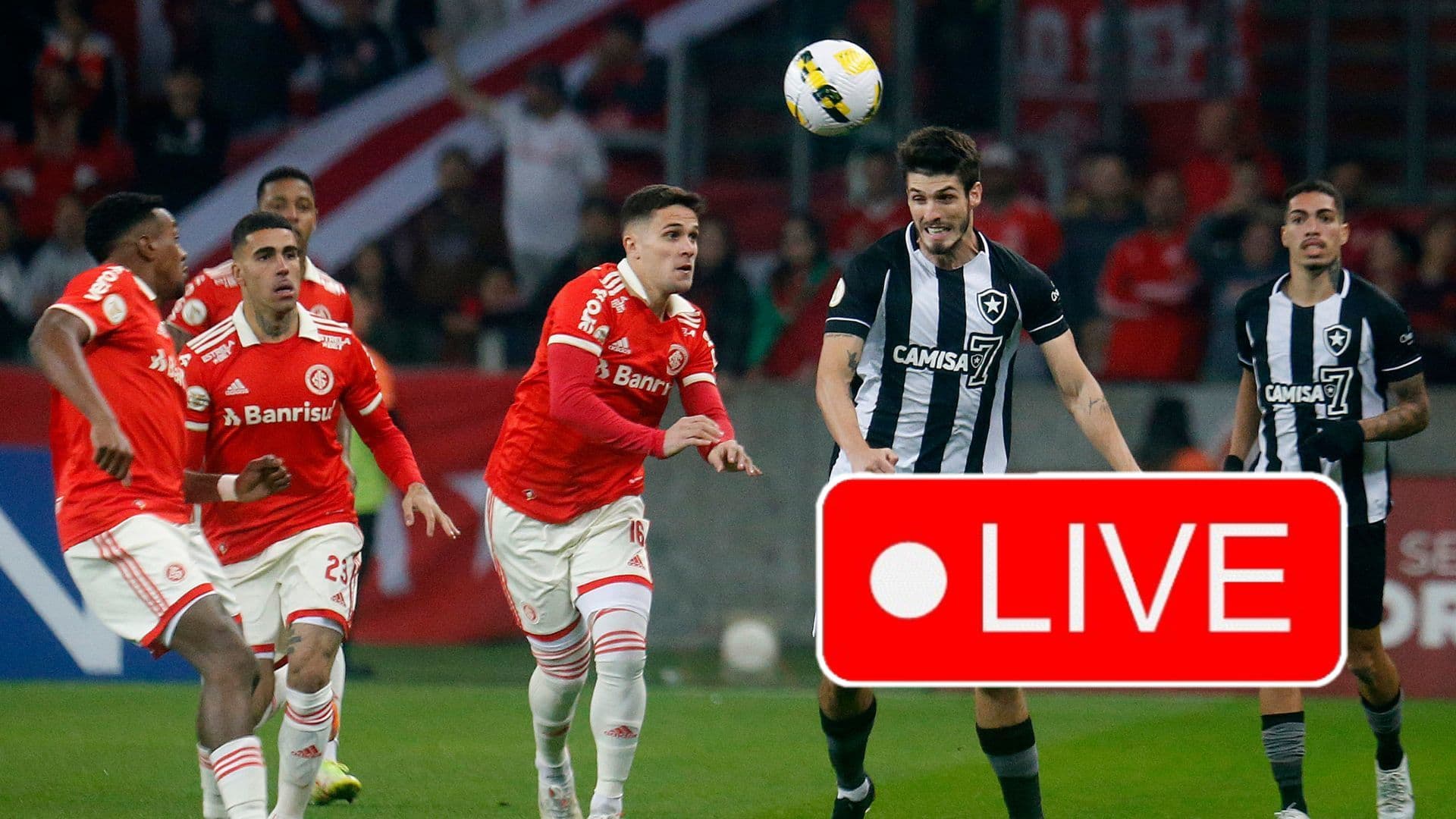 Internacional de Porto Alegre - Botafogo (Photo: Serie A)