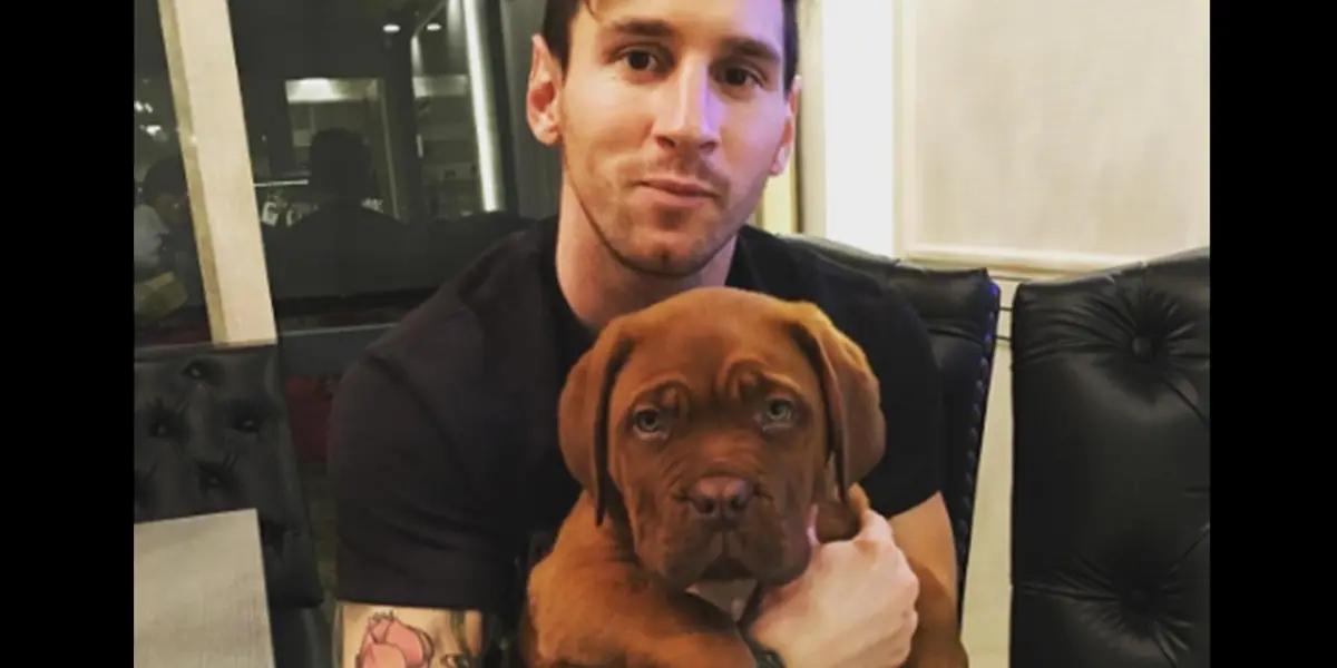 Keeping dogs as pets and for security is an important part of celebrity lifestyle and Argentine footballer Lionel Messi is not left out. What breed is Messi's dog and what's its name?