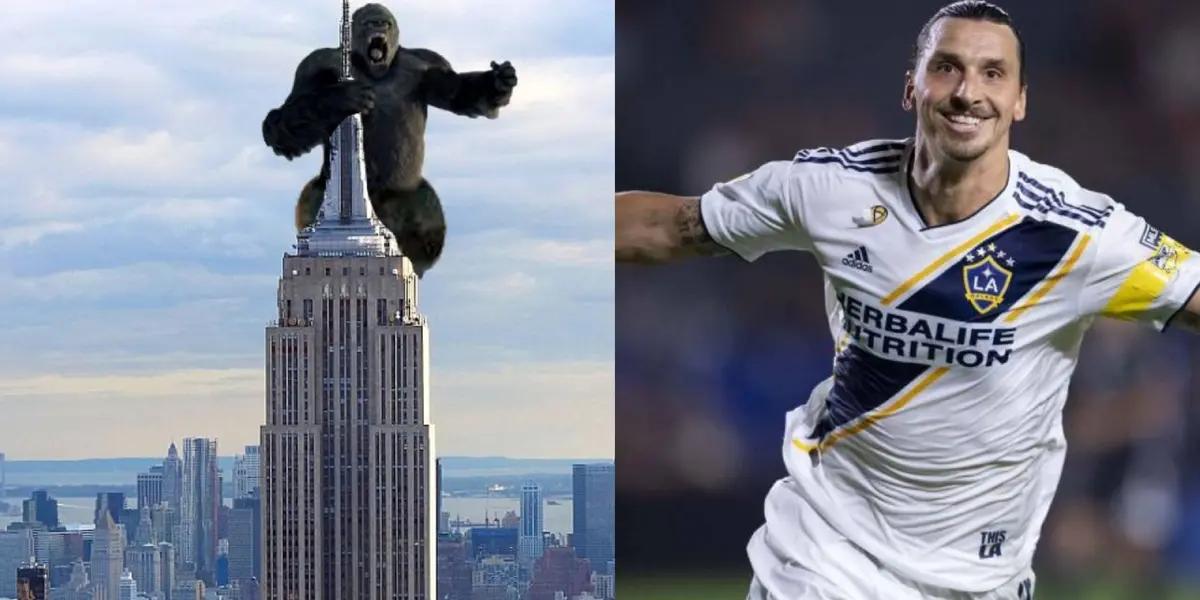 Kink Kong, the most famous gorilla on television and in Hollywood was challenged by Zlatan Ibrahimovic but the Swede knows who would win