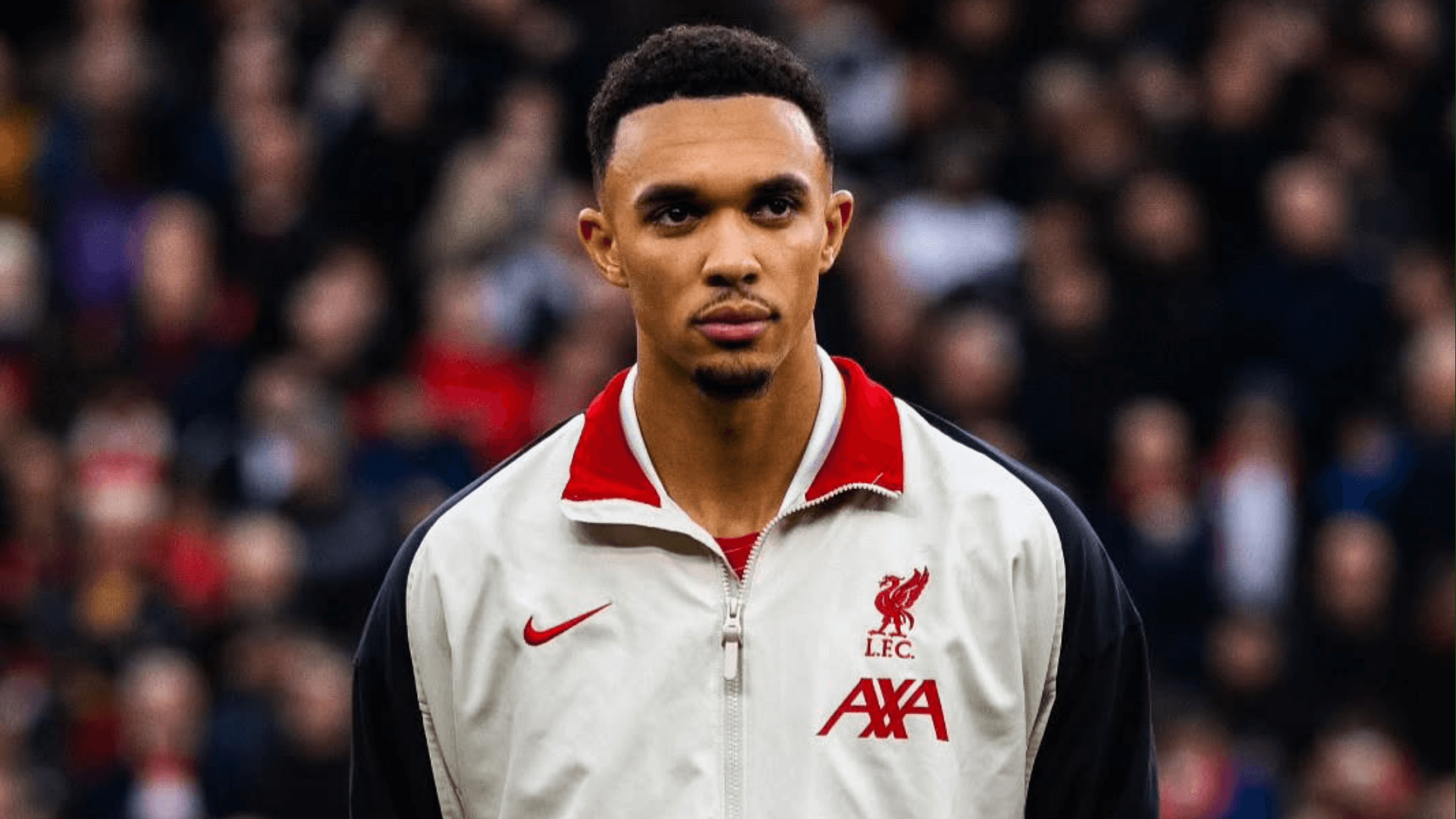 Photo: Alexander-Arnold social networks.