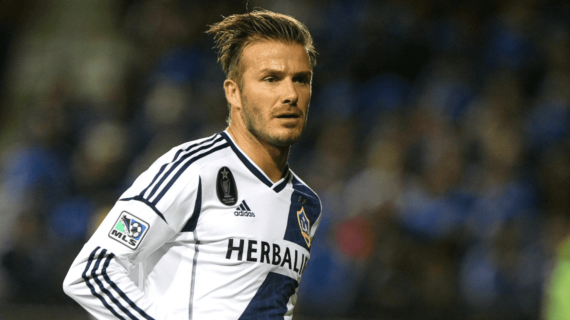Photo: @MLS