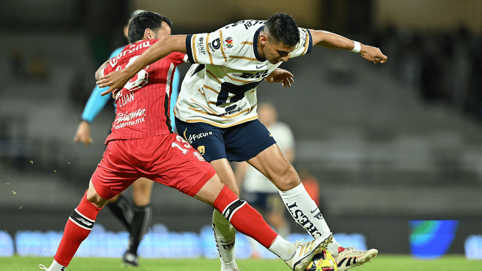 Pumas match | Photo: @PumasMX