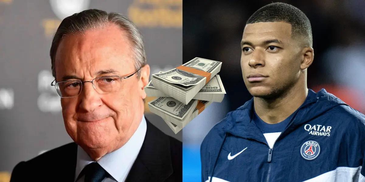 The arrival of a new elite reinforcement for the next season