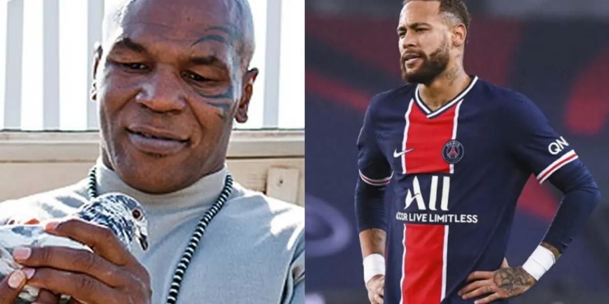 The eccentric ex-boxer admires these animals. What do elite footballers collect?