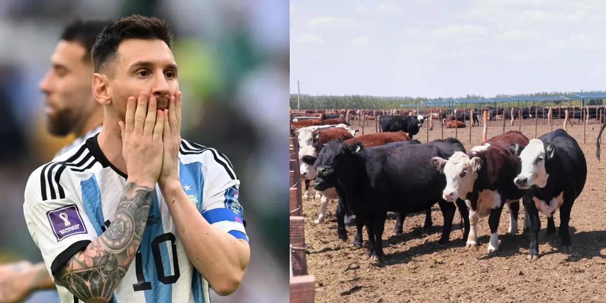 The incredible story of this Atlético de Madrid super star