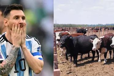 The incredible story of this Atlético de Madrid super star