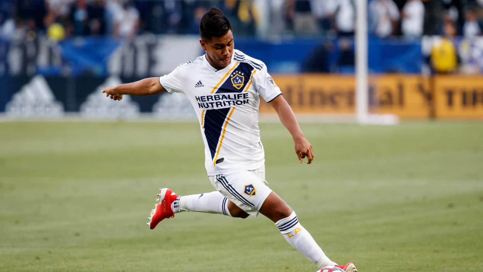 The Liga MX star has been called up for both national teams looking for a spot in the Tokyo Olympics.