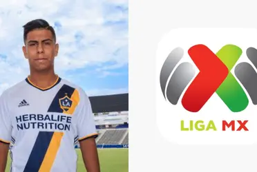 The Mexican striker concludes his contract with the LA Galaxy in 2023