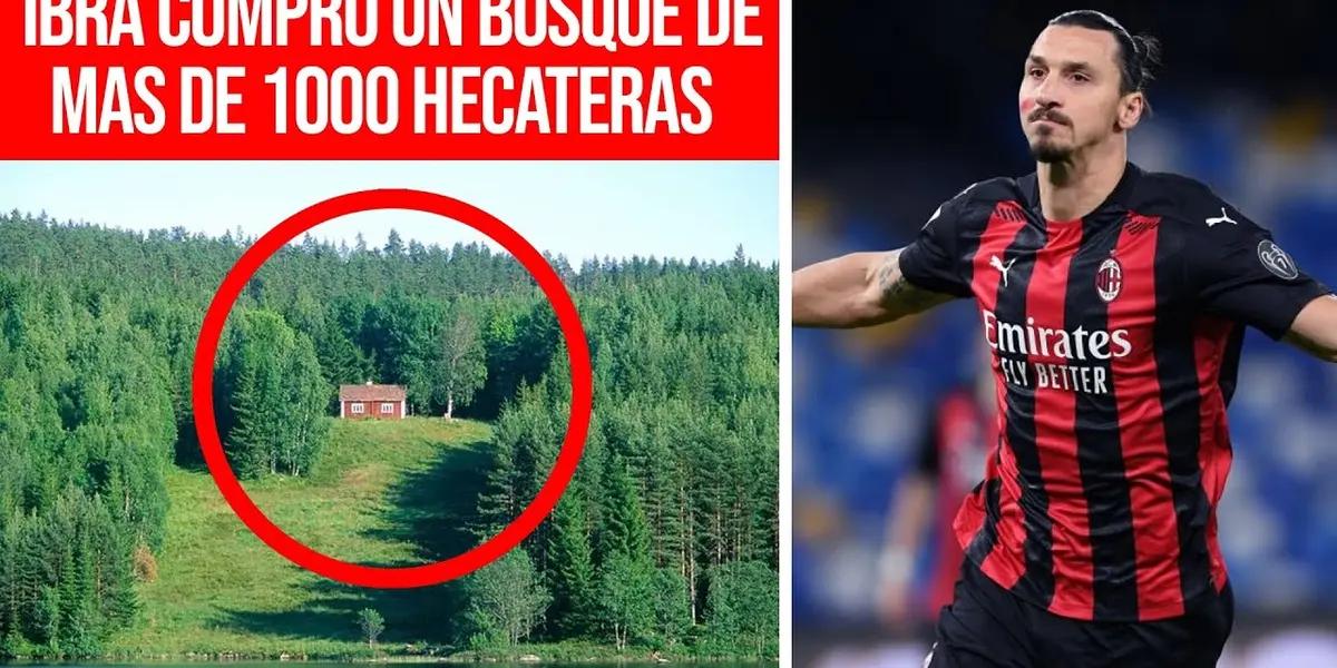 The Swedish striker acquired a forest on the Swedish border with Norway to be able to fish