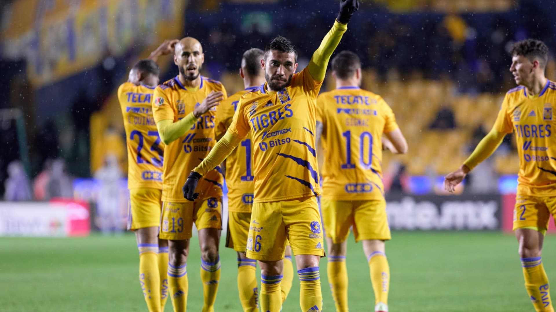 The Tigres UNAL team are celebrating together after a goal is scored.